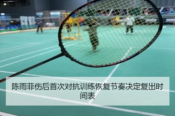陈雨菲伤后首次对抗训练恢复节奏决定复出时间表