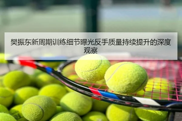 樊振东新周期训练细节曝光反手质量持续提升的深度观察